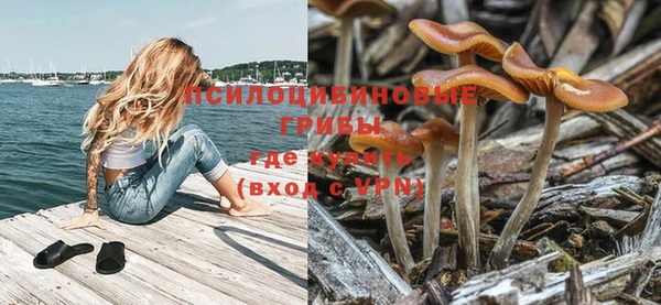 эйфоретик Надым