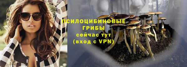 2c-b Нефтегорск
