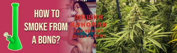 молекула духа Нефтекумск
